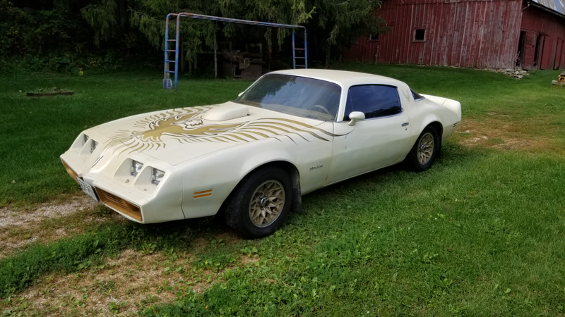 1980 Pontiac Firebird